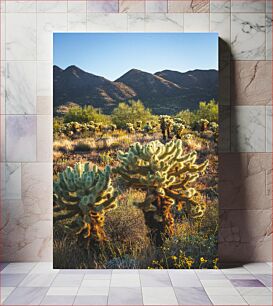 Πίνακας, Desert Landscape with Cacti Έρημο Τοπίο με Κάκτους