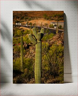Πίνακας, Desert Landscape with Cactus Έρημο Τοπίο με Κάκτο