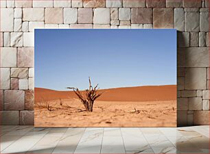 Πίνακας, Desert Landscape with Dry Plant Έρημο Τοπίο με Ξηρά Φυτά