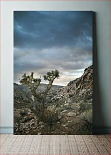 Πίνακας, Desert Landscape with Joshua Tree Τοπίο της ερήμου με το δέντρο Joshua