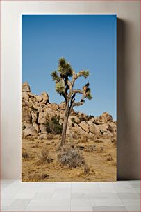 Πίνακας, Desert Landscape with Joshua Tree Τοπίο της ερήμου με το δέντρο Joshua