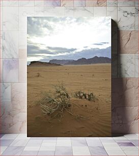 Πίνακας, Desert Landscape with Mountains Έρημο τοπίο με βουνά