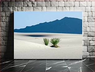 Πίνακας, Desert Landscape with Plants Έρημο Τοπίο με Φυτά