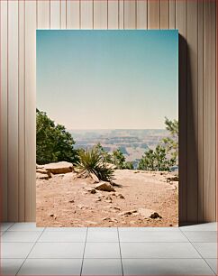 Πίνακας, Desert Landscape with Plants Έρημο Τοπίο με Φυτά