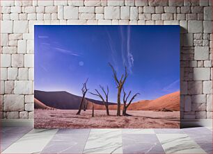 Πίνακας, Desert Landscape with Trees Έρημο Τοπίο με Δέντρα