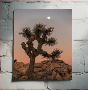Πίνακας, Desert Moonrise Over Joshua Tree Desert Moonrise Over Joshua Tree