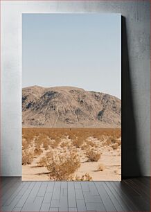 Πίνακας, Desert Mountain Landscape Ορεινό τοπίο της ερήμου