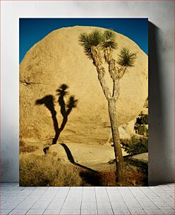 Πίνακας, Desert Rock and Tree Shadow Desert Rock and Tree Shadow