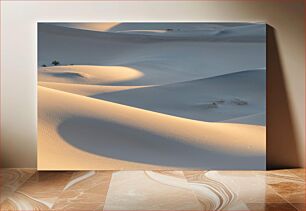 Πίνακας, Desert Serenity Γαλήνη της Ερήμου