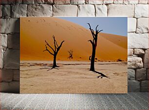 Πίνακας, Desert Silhouettes Σιλουέτες της ερήμου
