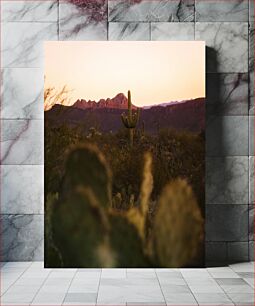 Πίνακας, Desert Sunset with Cactus Ηλιοβασίλεμα της ερήμου με κάκτους
