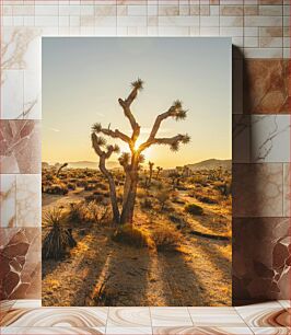 Πίνακας, Desert Sunset with Joshua Trees Ηλιοβασίλεμα της ερήμου με τα δέντρα Joshua