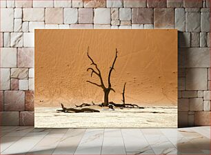 Πίνακας, Desert Tree in Sand Dunes Δέντρο της Ερήμου στους Αμμόλοφους
