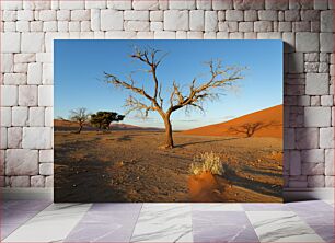 Πίνακας, Desert Trees at Sunset Δέντρα της Ερήμου στο ηλιοβασίλεμα