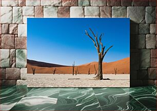 Πίνακας, Desert Trees in a Vast Landscape Δέντρα της Ερήμου σε ένα απέραντο τοπίο