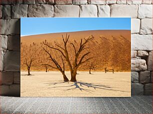 Πίνακας, Desert Trees Δέντρα της Ερήμου