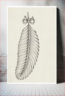 Πίνακας, Design for a Brooch in Shape of a Feather