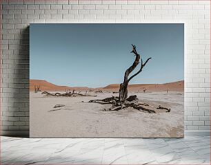 Πίνακας, Desolate Desert Landscape Έρημο ερημικό τοπίο