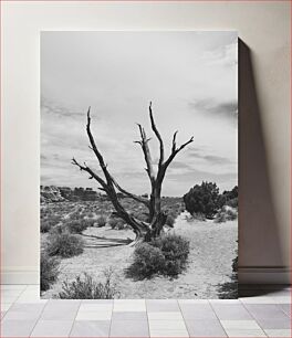 Πίνακας, Desolate Tree in Desert Landscape Έρημο δέντρο σε έρημο τοπίο
