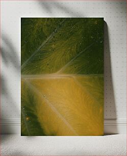 Πίνακας, Detailed Leaf Close-up Λεπτομερής κινηματογράφηση σε πρώτο πλάνο φύλλων