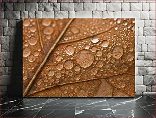 Πίνακας, Dew Drops on Leaf Σταγόνες δροσιάς στα φύλλα