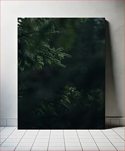 Πίνακας, Dew-Kissed Pine Branch Κλαδί Πεύκου Δροσιού-Φιλημένου