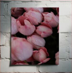 Πίνακας, Dew-Kissed Pink Tulips Ροζ τουλίπες Dew-Kissed