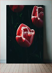Πίνακας, Dew-kissed Tulips Τουλίπες που φιλήθηκαν με δροσιά