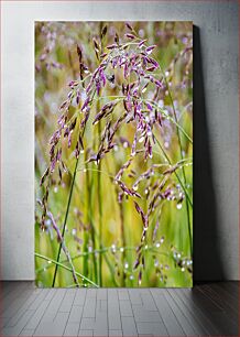 Πίνακας, Dew on Grass with Purple Hues Δροσιά στο γρασίδι με μωβ αποχρώσεις