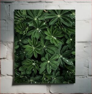 Πίνακας, Dew on Green Leaves Δροσιά σε πράσινα φύλλα