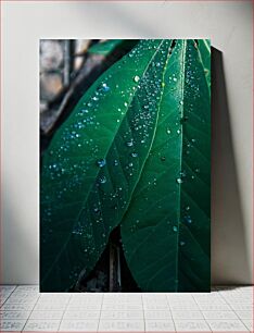 Πίνακας, Dew on Green Leaves Δροσιά σε πράσινα φύλλα