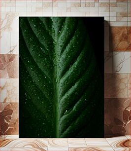 Πίνακας, Dew on Leaf Δροσιά στο φύλλο