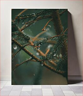 Πίνακας, Dew on Pine Branch Δροσιά σε κλαδί πεύκου