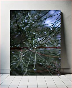 Πίνακας, Dew on Pine Needles Δροσιά στις πευκοβελόνες