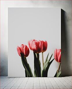 Πίνακας, Dewy Pink Tulips Dewy Pink Tulips