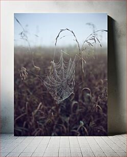 Πίνακας, Dewy Spider Web in a Foggy Field Ο Ιστός της Δρόσου Αράχνης σε ένα ομιχλώδες πεδίο