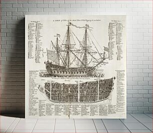 Πίνακας, Diagram of a warship"A SHIP of War, of the third Rate" and "Section of a SHIP of War, of the first Rate"
