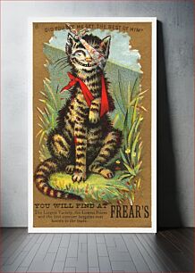 Πίνακας, Did you see me get the best of him? You will find at Frear's (1881), injured cat vintage illustration