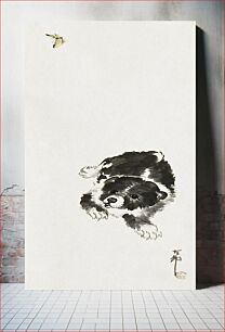 Πίνακας, Dog and butterfly (1887–1945) by Ohara Koson
