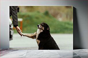 Πίνακας, Dog and Human Handshake Χειραψία σκύλου και ανθρώπου