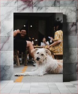 Πίνακας, Dog at a Café with People Σκύλος σε ένα καφέ με ανθρώπους