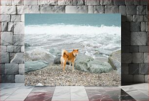 Πίνακας, Dog at the Beach Σκύλος στην Παραλία