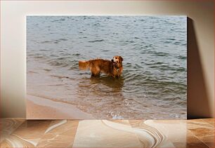 Πίνακας, Dog at the Beach Σκύλος στην Παραλία