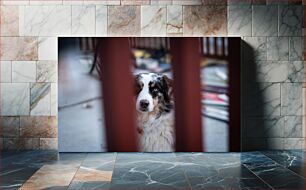 Πίνακας, Dog Behind Bars Σκύλος πίσω από τα κάγκελα