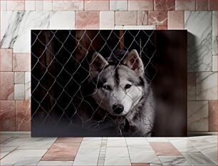 Πίνακας, Dog Behind Fence Σκύλος Πίσω από Φράχτη