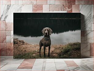 Πίνακας, Dog by the Lake Σκύλος δίπλα στη λίμνη