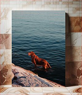 Πίνακας, Dog by the Sea Dog by the Sea