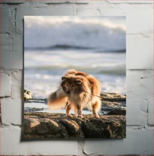 Πίνακας, Dog by the Sea Dog by the Sea
