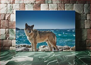 Πίνακας, Dog by the Seashore Dog by the Seashore