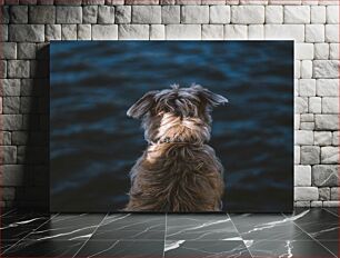 Πίνακας, Dog by the Water Σκύλος δίπλα στο νερό